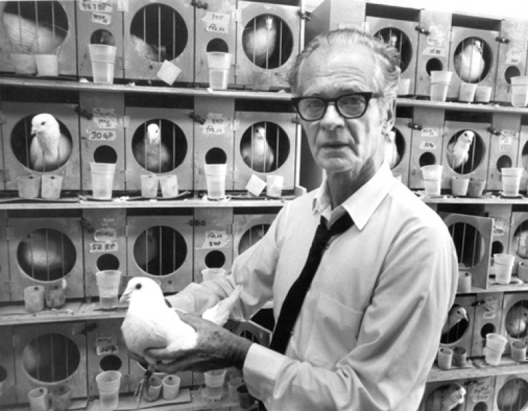 B.F. Skinner's Experiments