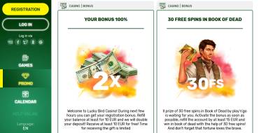 Lucky Bird casino: Promotions