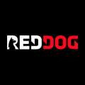 Red Dog Casino