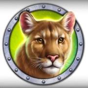 1 Reel – Majestic Wild Buffalo: Puma