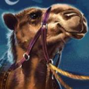 10 001 Nights MegaWays: Camel