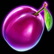 20 Golden Coins: Plum