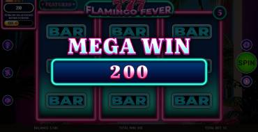 777 – Flamingo Fever: Winnings