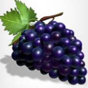 81 Wins: Grapes