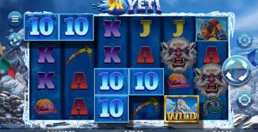 9k Yeti: Payoffs