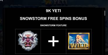 9k Yeti: Snowstorm Feature