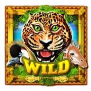 Africa Gold 2: Wild