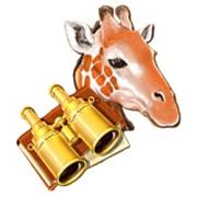 Africa Gold 2: Giraffe, Binoculars