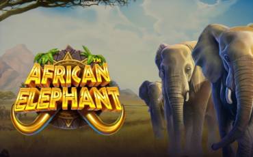 African Elephant slot online