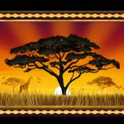 African Quest: View