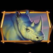 African Quest: Rhino