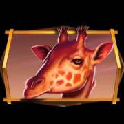 African Quest: Giraffe