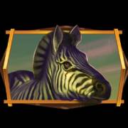 African Quest: Zebra