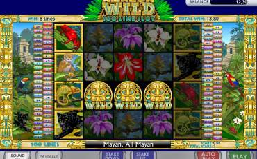 Amazon Wild slot online