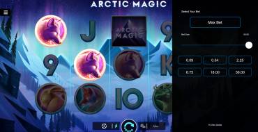 Arctic Magic: Bets