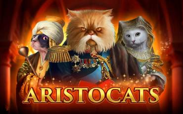 Aristocats slot online