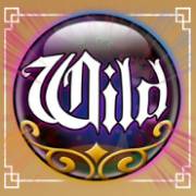 Balthazar's Wild Emporium: symbol