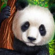 Bamboo Rush: Panda