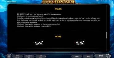 Big Brown: Rules