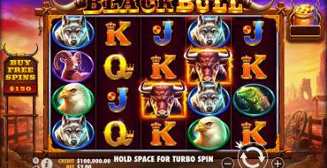 Black Bull: Design