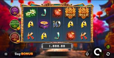 Blessed Dragons Hold & Win: Slot machine