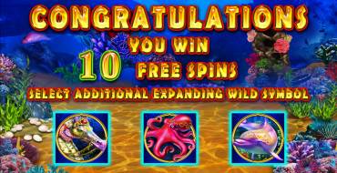 Blue Oceans: Free spins and/or respins