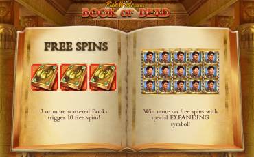 Book of Dead slot online