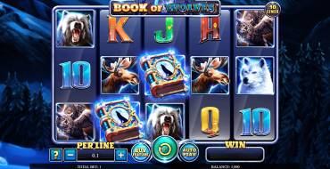 Book Of Wolves: Slot machine