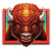 Buffalo Bucks: Bison