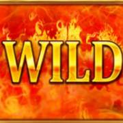 Burning Sun: Wild