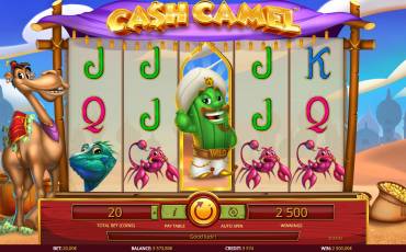 Cash Camel slot online