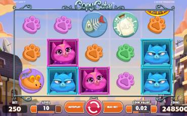 Copy Cats slot online