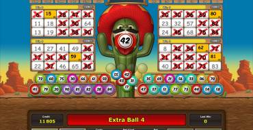 Crazy Cactus Bingo: Extra Balls