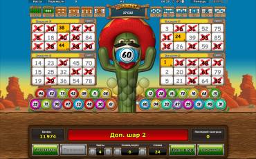 Crazy Cactus Bingo slot online