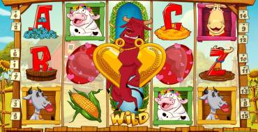 Crazy Cows: Wild