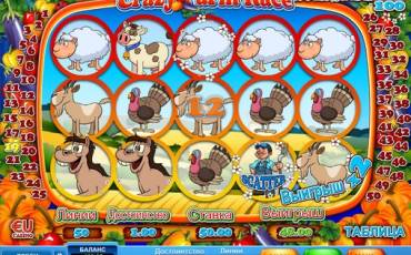 Crazy Farm Race slot online