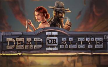 Dead or Alive 2 slot online