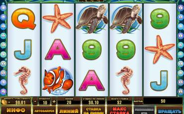 Dolphin Reef slot online