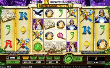 Druidess Gold slot online