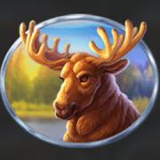 Eagle Storm: Moose