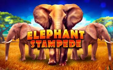 Elephant Stampede