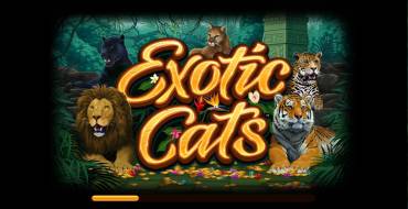 Exotic Cats: Exotic Cats logo