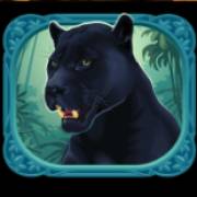 Exotic Cats: Panther