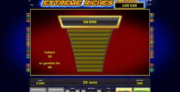 Extreme Riches: Double Up Game