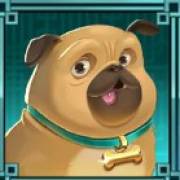 Fat Banker: Pug