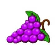 Fenix Play 27 Deluxe: Grapes