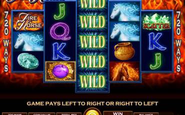 Fire Horse slot online