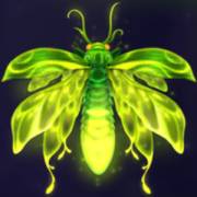 Firefly Frenzy: Firefly