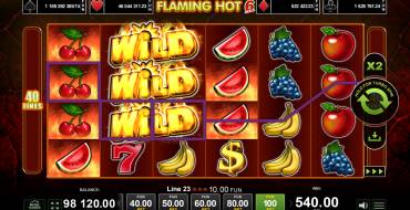 Flaming Hot 6 Reels: Winnings