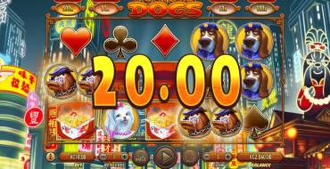 Fortune Dogs: Interface of the slot